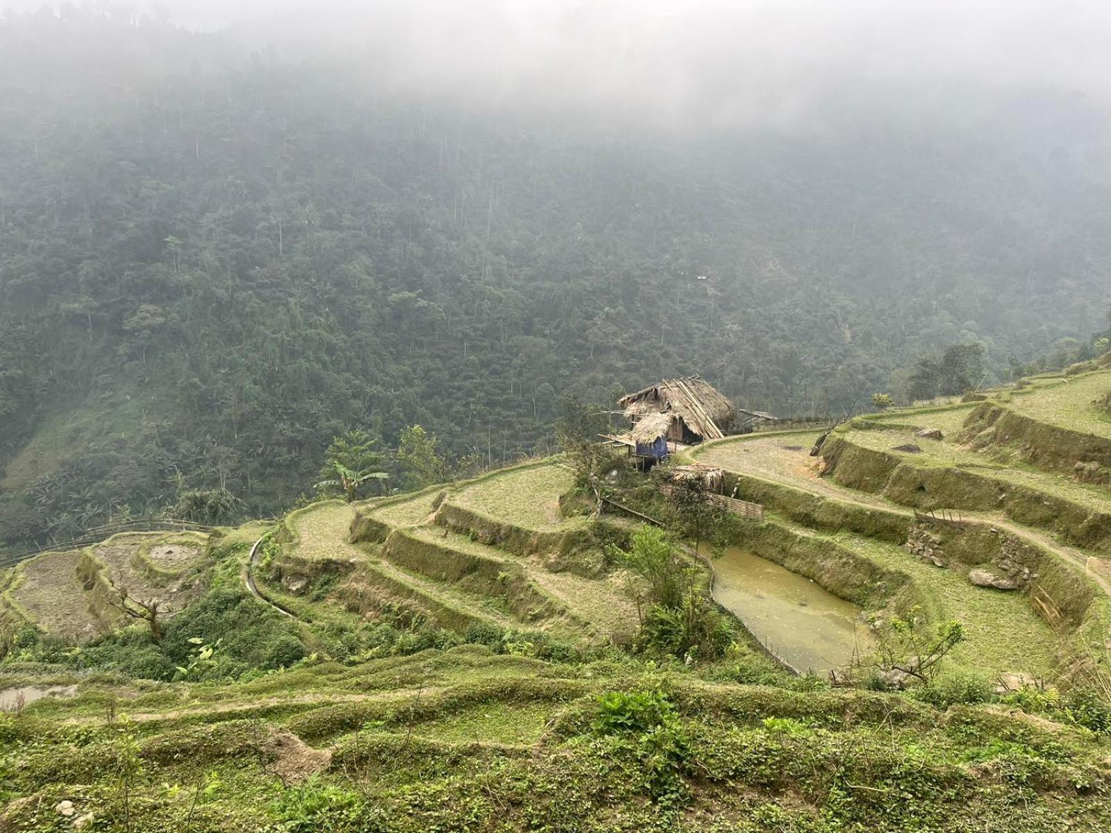 Bikki'S Jungle Homestay Ha Giang Exterior foto