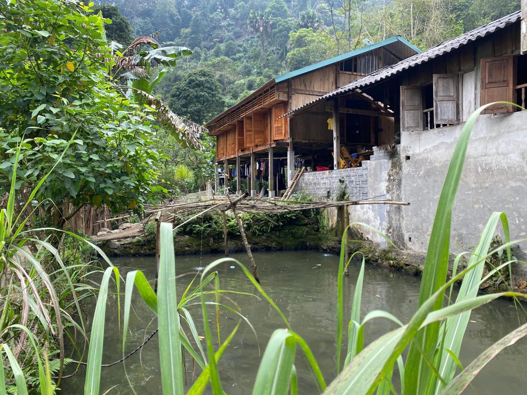 Bikki'S Jungle Homestay Ha Giang Exterior foto